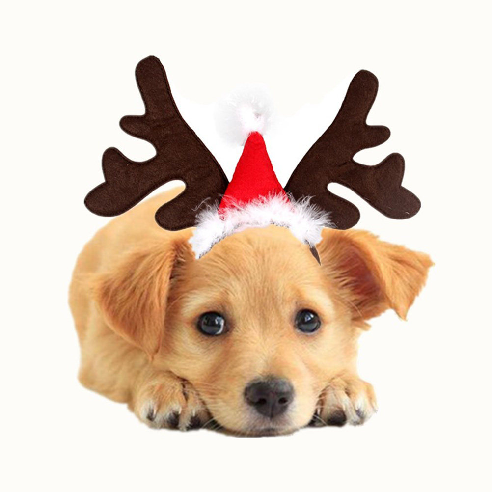 Reindeer Antlers Headband - عصابة رأس بقرون الغزلان، أذنان لطيفتان،