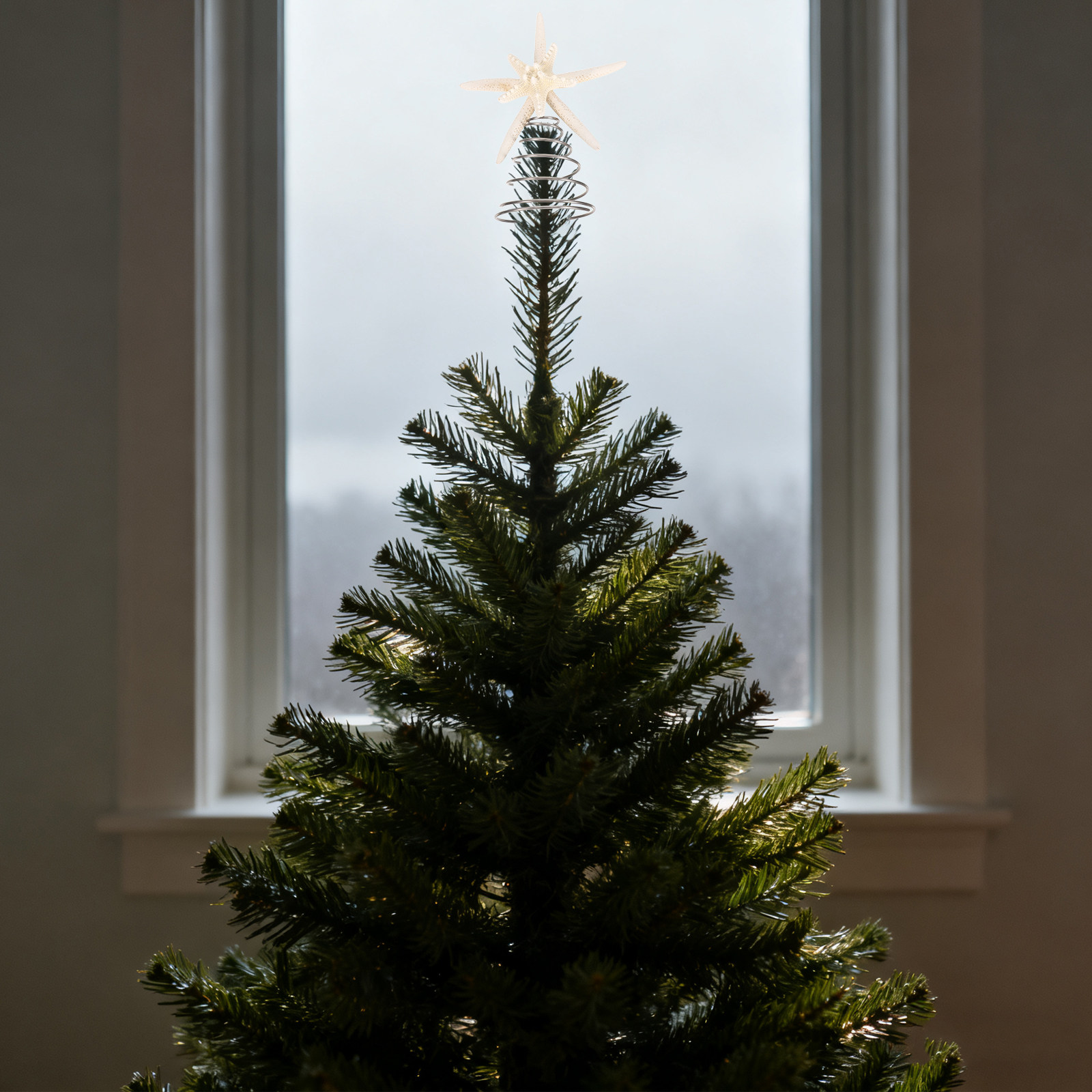 Star Tree Topper - زينة قمة شجرة عيد الميلاد الساحلية،